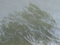 20-Evelyn-Stermetz-Water-Portrait-III