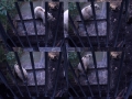 Animals-Planet-1