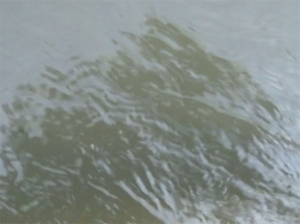 20-Evelyn-Stermetz-Water-Portrait-III